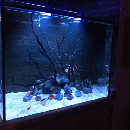 Aquarium House Appartement Sesimbra Buitenkant foto