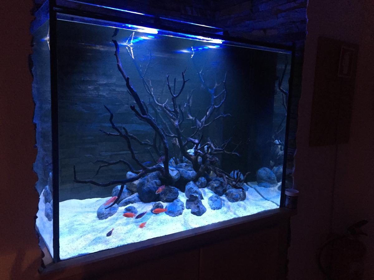 Aquarium House Appartement Sesimbra Buitenkant foto